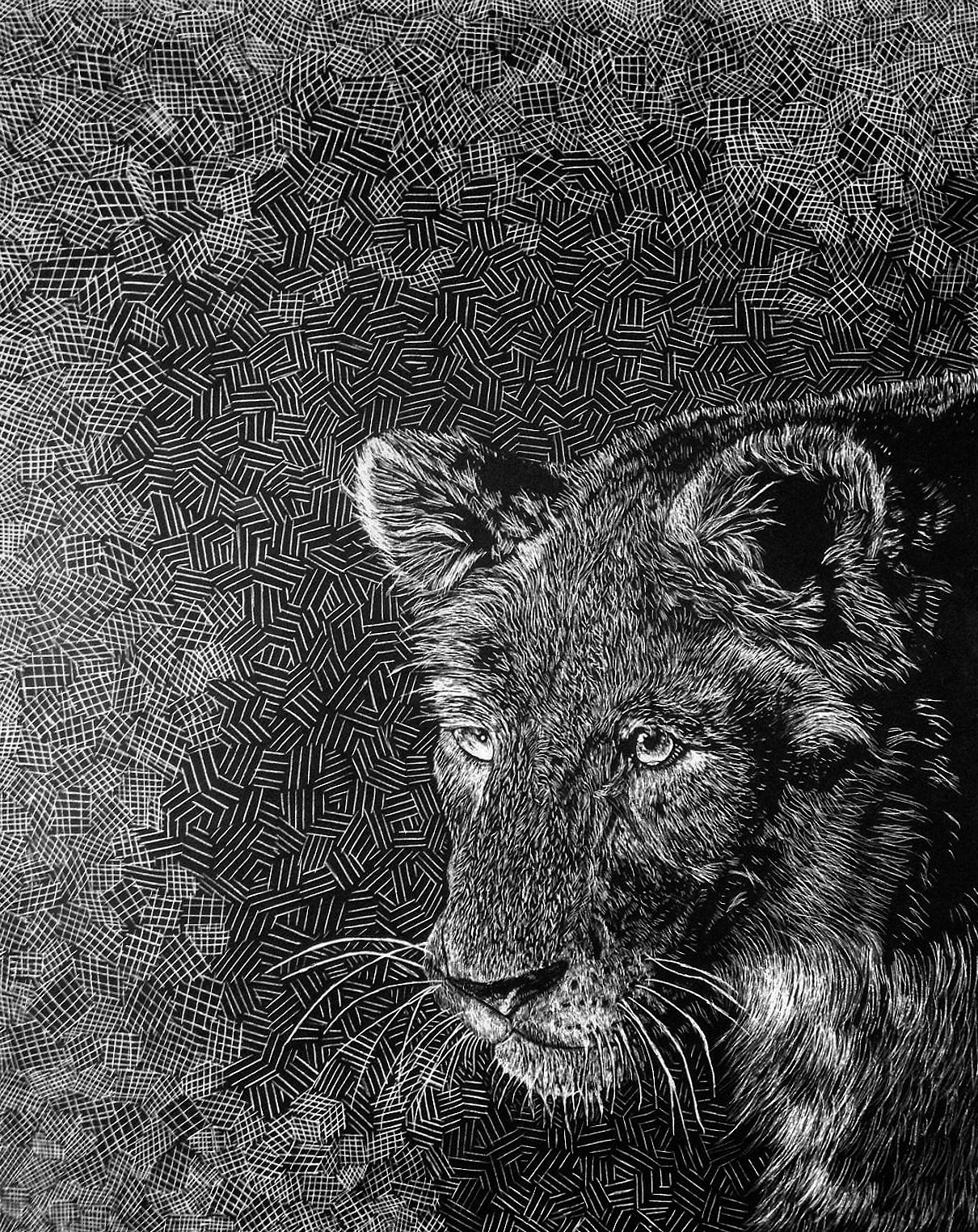 LionScratchweb